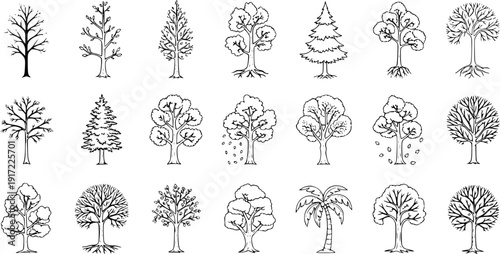 Set of diverse hand-drawn tree illustrations. Includes deciduous, evergreen, and palm trees in simple line art style, perfect for nature icons.
