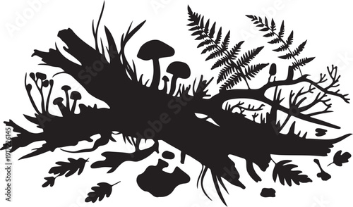 Black and white forest scene with ferns mushrooms and branches
