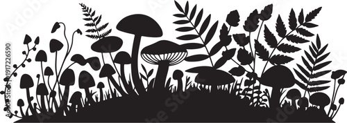 Black and white forest scene with mushrooms and ferns