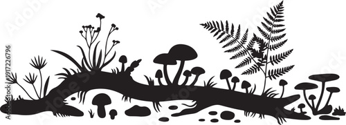 Black and white forest scene with mushrooms and ferns