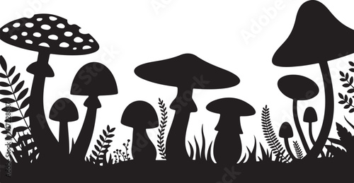 Black and white mushroom and fern forest mushrooms