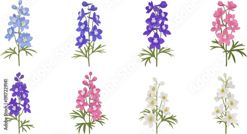 flowers bloom blue purple pink white plant