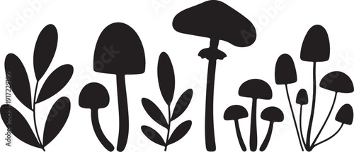 Black and white mushroom and plant fungi plants