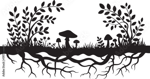 Black and white of forest roots and mushrooms nature
