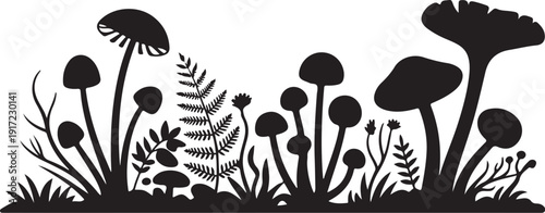 Black and white of mushrooms and ferns in a forest