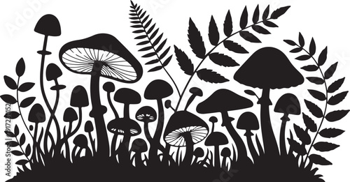 Black and white of mushrooms and ferns in a forest setting
