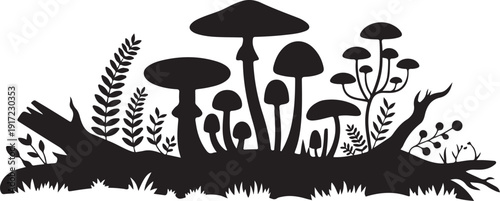 Black and white of mushrooms and forest nature