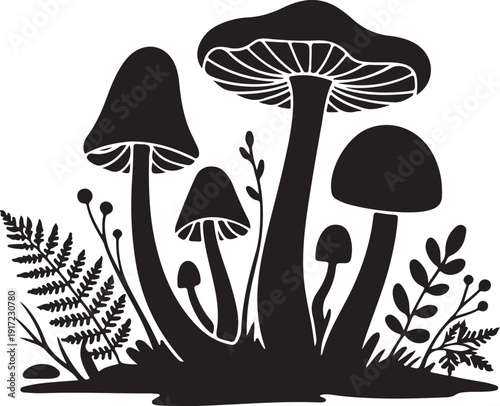 Black and white of various mushrooms and ferns nature