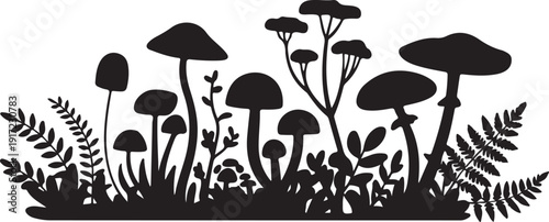 Black and white of various mushrooms and ferns nature