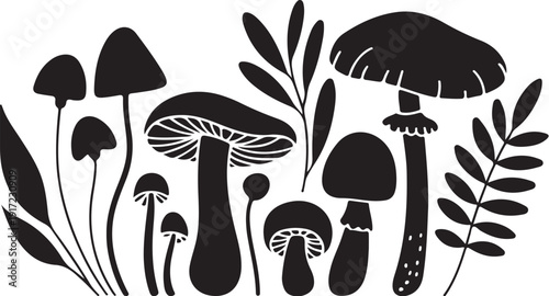 Black and white of various mushrooms and leaves nature
