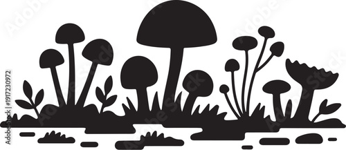 Black and white of various mushrooms and plants fungi