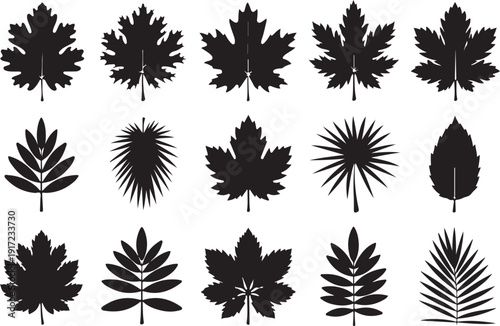 Six minimalist black and white line art illustrations depict various flowers, leaves, and plant stems, presented as an asset within an Adobe Stock upload interface.