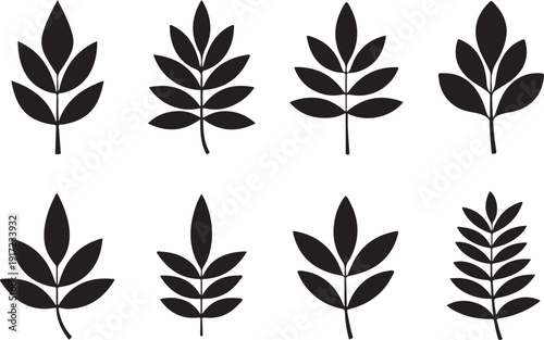 Six minimalist black and white line art illustrations depict various flowers, leaves, and plant stems, presented as an asset within an Adobe Stock upload interface.