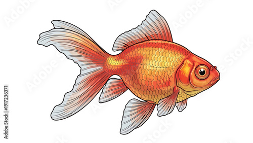 Stylized illustration of an orange and gold goldfish with flowing fins on a white background
