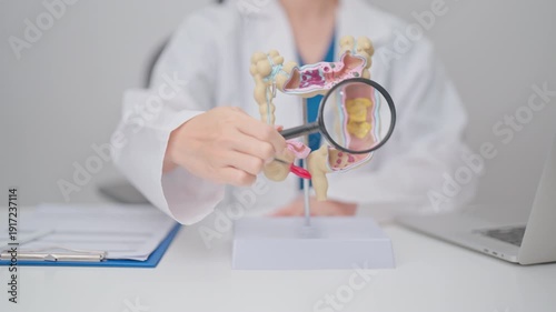 Doctor with human Colon anatomy model. Colonic disease, Large Intestine, Colorectal cancer, Ulcerative colitis, Diverticulitis, Irritable bowel syndrome, Digestive system and Healthcare concept