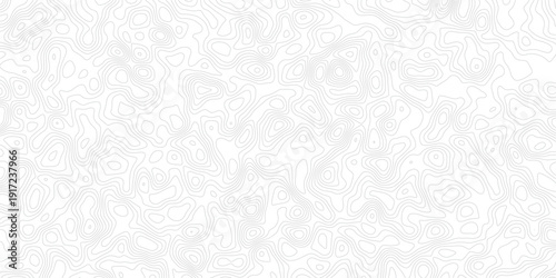 Gray topographic map contour lines on white background pattern texture_1
