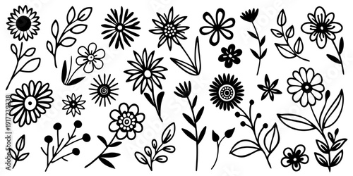 Hand drawn plant elements, flowers and leaves, isolated on white background, vector design