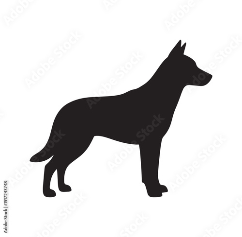 Standing dog in profile view on white background