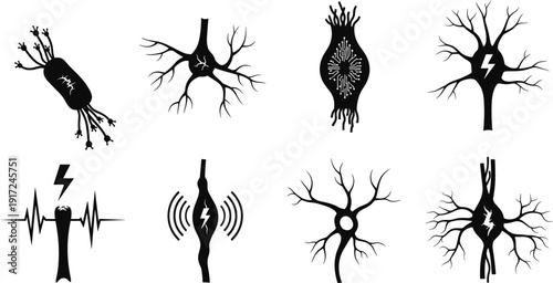 Black and white neuron cell with electrical impulses nervous system
