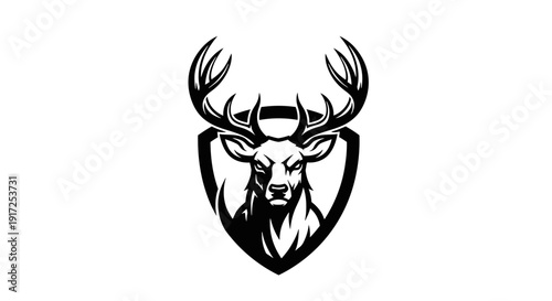 Shield icon with crown symbolizing protection and royalty.