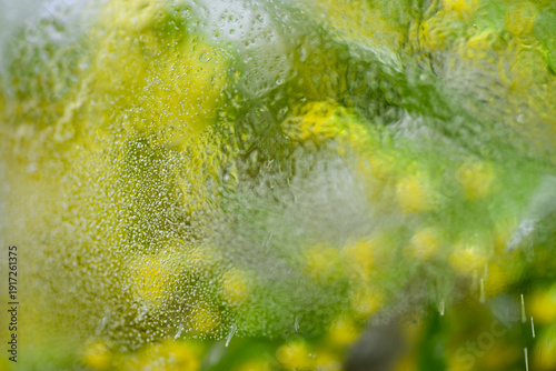 Abstract Frozen Yellow and Green Flowers