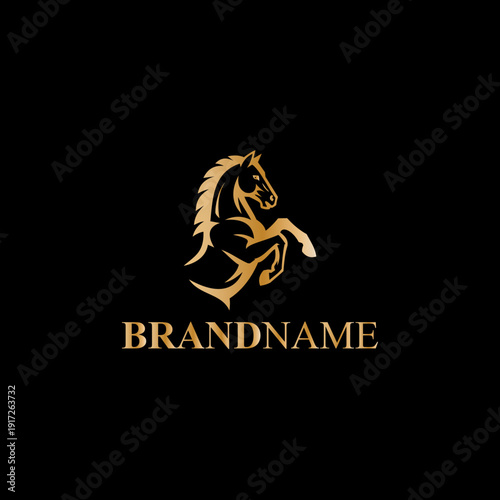 Elegant horse logo icons. Equine stables sign. Equestrian brand emblems. Vector illustration.