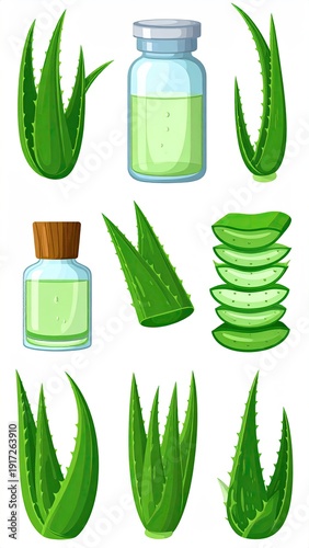 Aloe collection plant clusters & extract vials