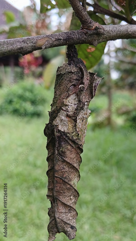 Naklejka premium tree trunk with green leaves