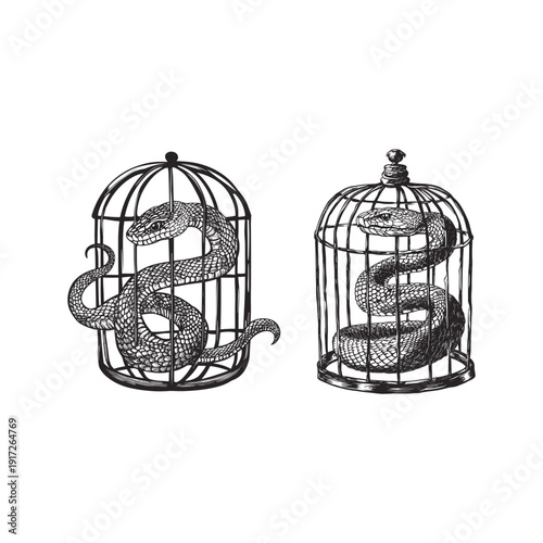 Vintage engraving illustration of a large venomous snake trapped inside a metal cage