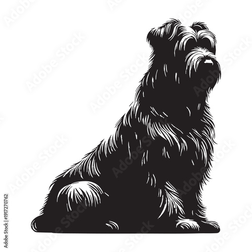 Catalan Sheepdog Loyal Herding Companion – Intelligent, Agile, Protective Farm Dog Breed with Shaggy Coat, Strong Instincts, Family Friendly Nature, Active Lifestyle Partner and Versatile Work.