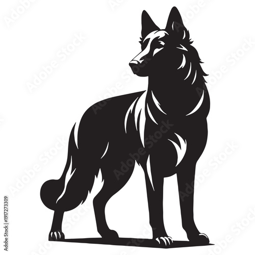 Dutch Shepherd Intelligent Working Dog – Loyal, Athletic, Protective Guardian with Brindle Coat, Strong Herding Instincts, Police and Military Companion, Highly Trainable, Energetic Family Protect.