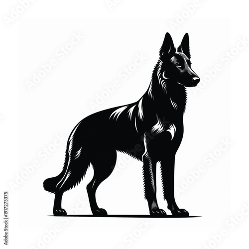 Dutch Shepherd Intelligent Working Dog – Loyal, Athletic, Protective Guardian with Brindle Coat, Strong Herding Instincts, Police and Military Companion, Highly Trainable, Energetic Family Protect.