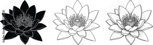 Three lotus flower illustrations showing silhouette, line drawing, and shaded design, representing artistic techniques, botanical study, and decorative art