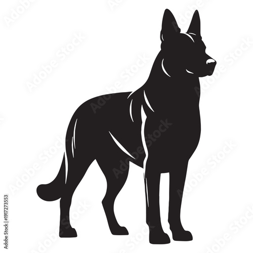 Dutch Shepherd Intelligent Working Dog – Loyal, Athletic, Protective Guardian with Brindle Coat, Strong Herding Instincts, Police and Military Companion, Highly Trainable, Energetic Family Protect.