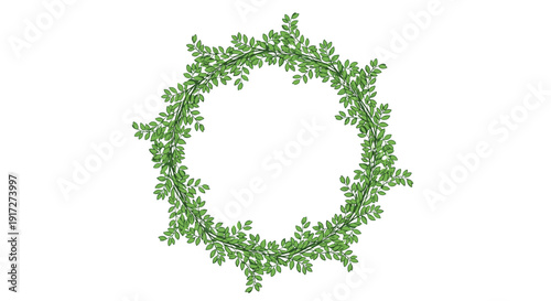Delicate circular frame formed by intertwined green leafy branches and small foliage creating a natural and fresh botanical wreath illustration.