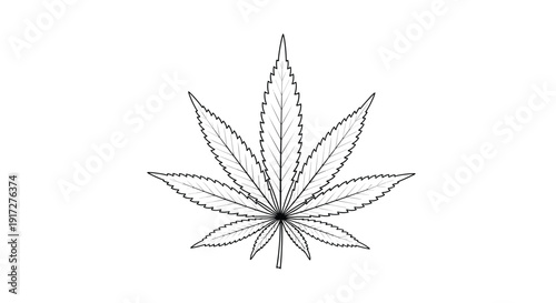 Detailed black and white line drawing of a marijuana or cannabis sativa leaf showing intricate veins and serrated edges.