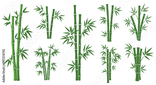 Collection of nine different green bamboo stalk clusters and plants in various sizes and leaf arrangements for zen designs.