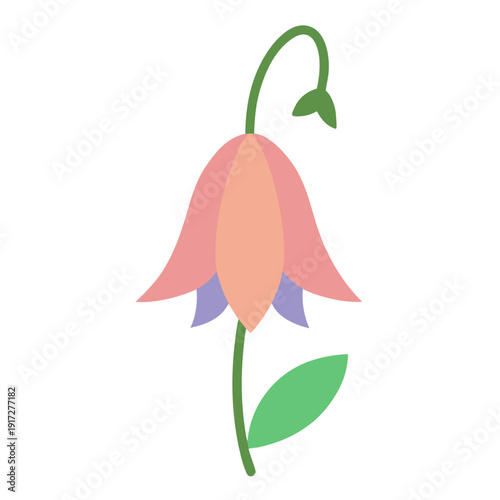 A flat design illustration of a campanula flower with pink and purple petals and a gently curved green stem.