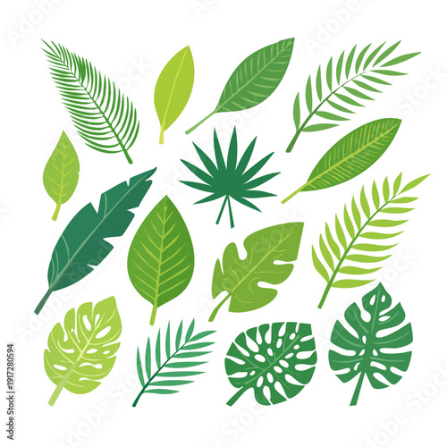 A collection of various green leaves arranged together showcasing different shapes and shades of green foliage