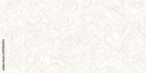 Gray topographic map lines on white background for design and texture
