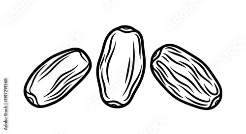 A black and white drawing of three almonds