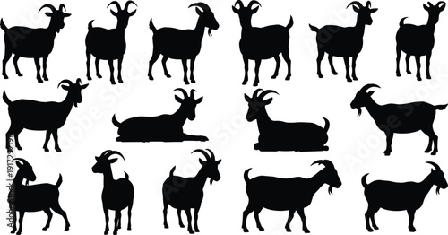 Goat silhouettes collection vector illustration, farm animal poses set, standing walking resting goats, rural livestock farming design, black animal shapes