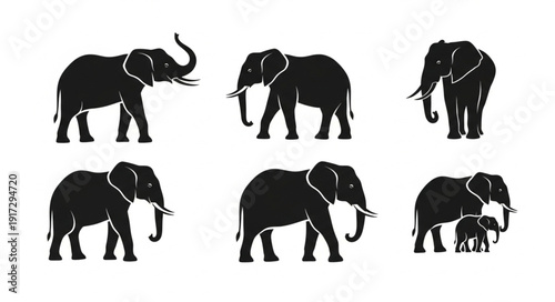 Set of six black elephant silhouettes on a white background.