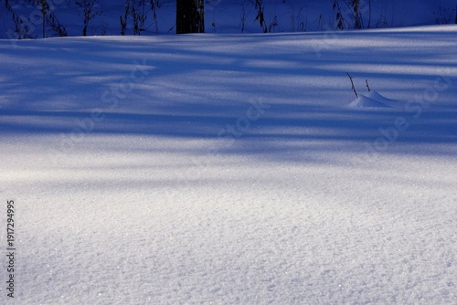 Schilderij op canvas 山裾の雪原