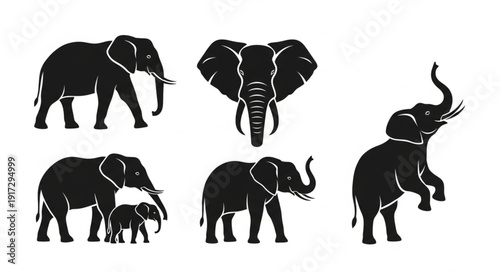 Set of five black elephant silhouettes on a white background.