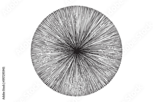 Radial lines circle vector illustration sketch transparent black and white on background