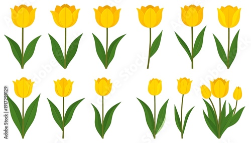 Wallpaper Mural Assortment of vibrant yellow tulips, some single, some in bunches, against a white background Torontodigital.ca