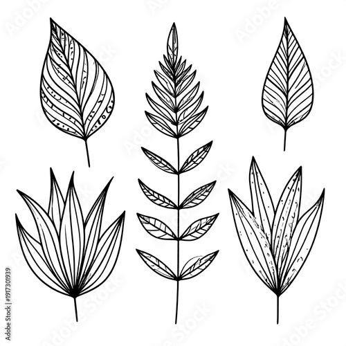 Wallpaper Mural Black and white illustration of various stylized leaves and botanical elements, featuring intricate line art and detailed textures Torontodigital.ca