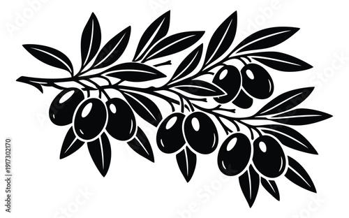 Line art illustration of an olive branch depicting olives and leaves for mediterranean cuisine
