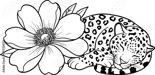 Sleeping Leopard and Flower Line Art Illustration for Coloring Pages